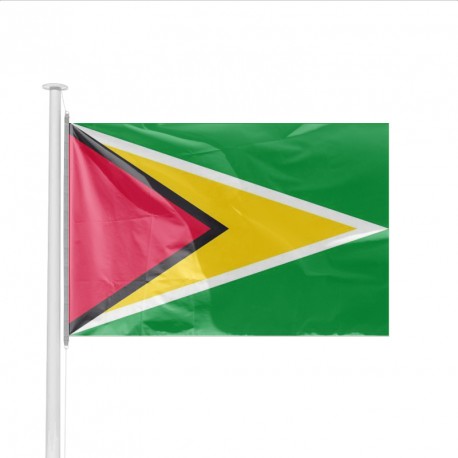 Pavillon pays GUYANA