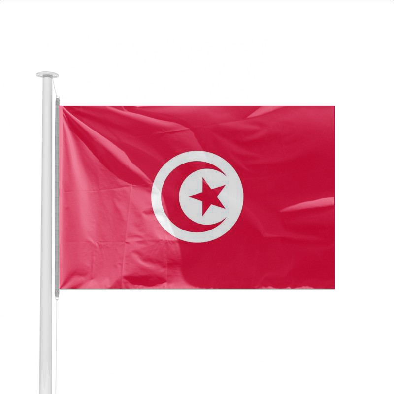 Drapeau pays TUNISIE - Achat en ligne de pavillon