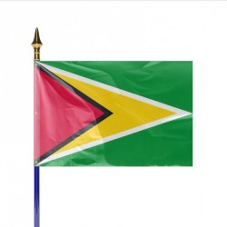 Drapeau pays GUYANA