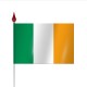 Drapeau à agiter IRLANDE en polyéthylène