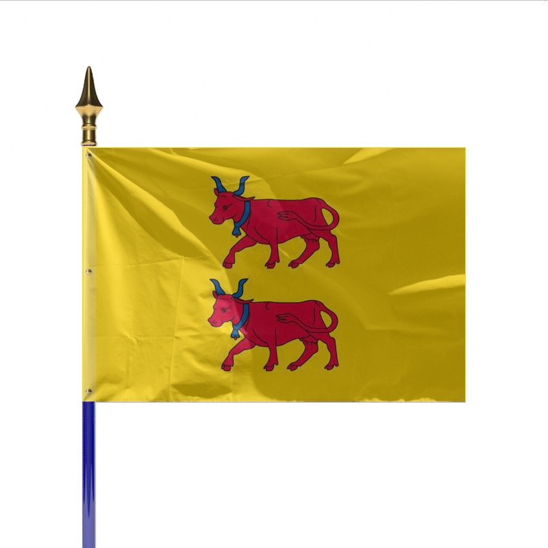 Drapeau Province BEARN Achat En Ligne