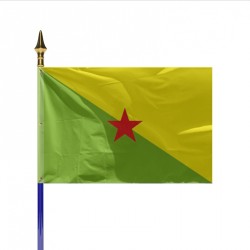 Drapeau Province GUYANE