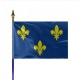 Drapeau Province ILE DE France
