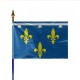 Drapeau Province ORLEANNAIS