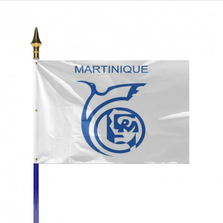 Drapeau Région MARTINIQUE