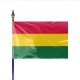 Drapeau pays BOLIVIE