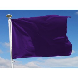 Drapeau baignade Violet :Pollution ou présence d'espèces aquatiques dangereuses, zone protégée