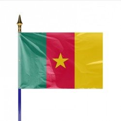 Drapeau pays CAMEROUN