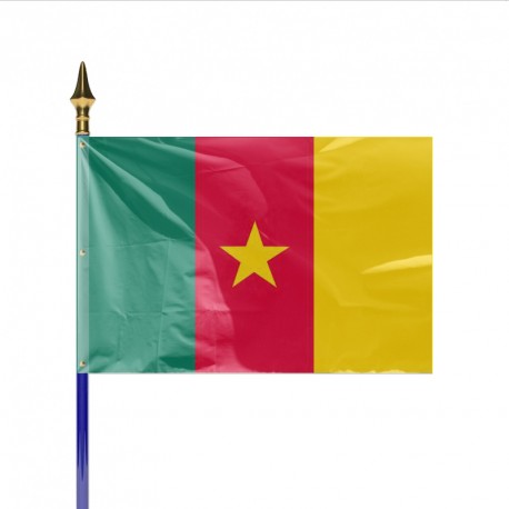 Drapeau pays CAMEROUN